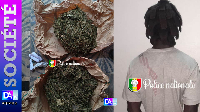Grand Dakar – Un présumé trafiquant de chanvre indien arrêté avec plus de 2 kg de drogue “verte” Grand Dakar – Un présumé trafiquant de chanvre indien arrêté avec plus de 2 kg de drogue “verte”