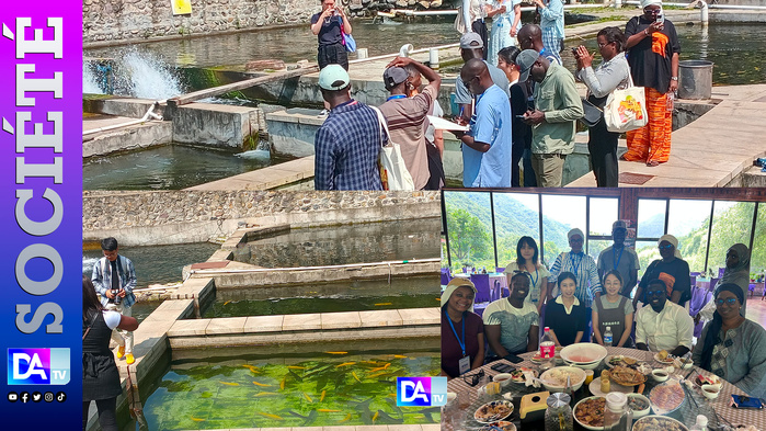 Ferme intégrée de Tianyuan : de l’élevage à l’assiette, le modèle agricole chinois copiable dans les villages sénégalais