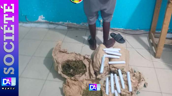 Thiès : Un dealer de chanvre indien piégé dans l’ombre – 2,5 kg saisis au quartier Silmang Thiès : Un dealer de chanvre indien piégé dans l’ombre – 2,5 kg saisis au quartier Silmang