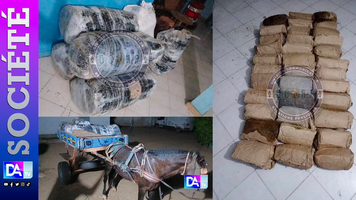 Sandiara – Saisie spectaculaire : 175 kg de chanvre indien abandonnés sur une charrette en pleine nuit !