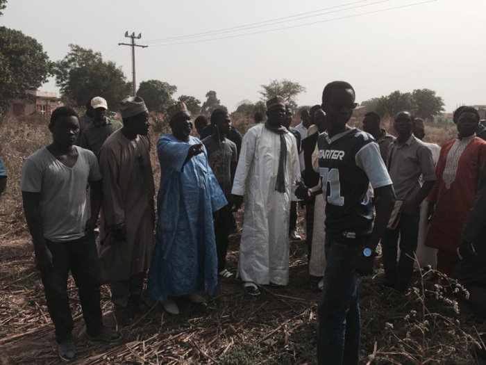 Serigne Abdoulaye Mountakha Niass, Conseiller spécial du Président : « Les populations promettent déjà Oui»