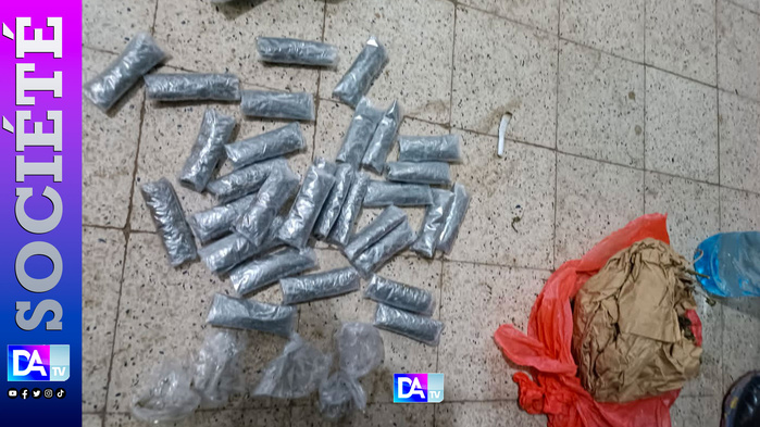 Thiès : 31 cornets de chanvre indien saisis, six individus interpellés Thiès : 31 cornets de chanvre indien saisis, six individus interpellés