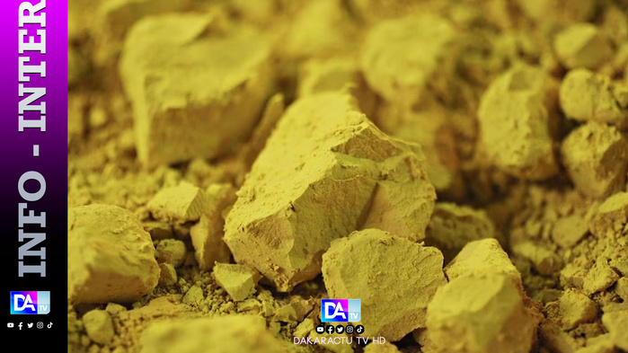 La Russie veut "exploiter l'uranium" au Niger (ministre russe de l'Energie) La Russie veut "exploiter l'uranium" au Niger (ministre russe de l'Energie)