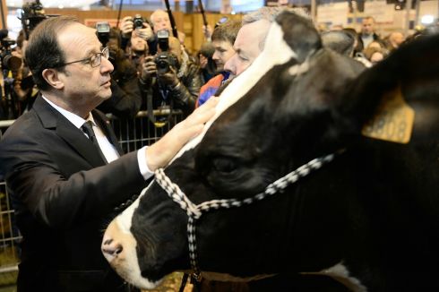 Hollande hué par les éleveurs : "Je suis aussi venu pour entendre ces cris"