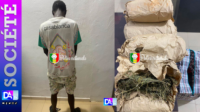 Trafic de drogue : un suspect interpellé à Bargny avec 5 kg de chanvre indien après une course-poursuite Trafic de drogue : un suspect interpellé à Bargny avec 5 kg de chanvre indien après une course-poursuite