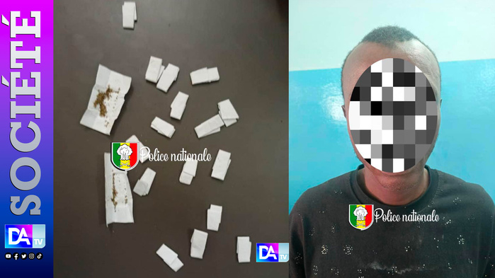 Ziguinchor – Yamatogn : un homme interpellé avec 18 doses de Kush lors d’un contrôle de routine Ziguinchor – Yamatogn : un homme interpellé avec 18 doses de Kush lors d’un contrôle de routine