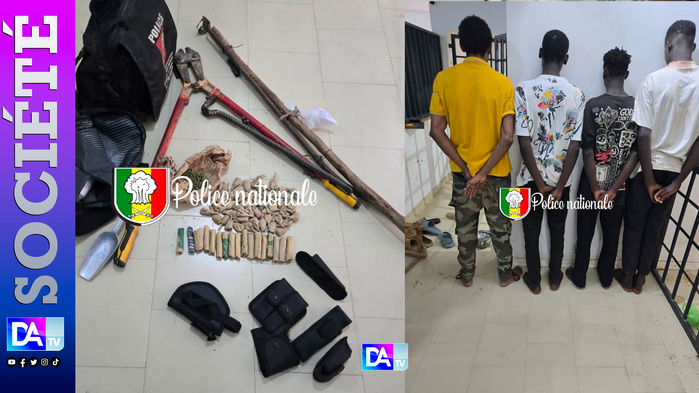 Nioro : démantèlement d’un réseau de cambrioleurs en activité