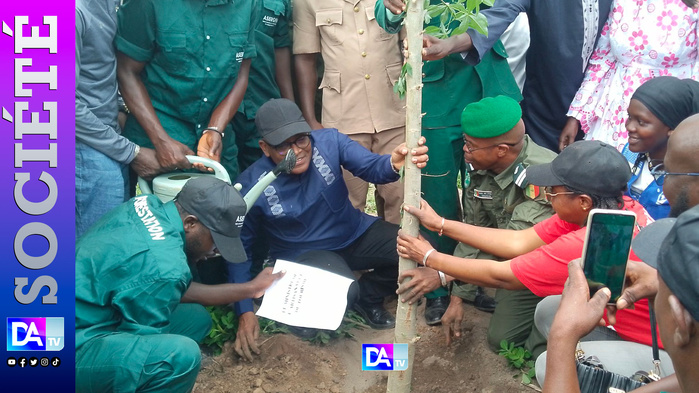 Médina Yoro Foula (Kolda) : Célébration de la journée nationale de l'arbre sous le thème du reboisement, souveraineté alimentaire... Médina Yoro Foula (Kolda) : Célébration de la journée nationale de l'arbre sous le thème du reboisement, souveraineté alimentaire...