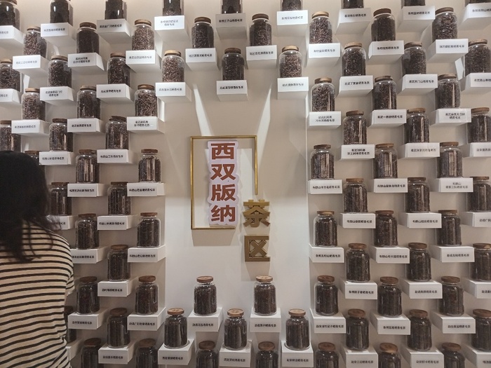 [Reportage] Thé chinois vs Ataya sénégalais : quand le thé transcende les frontières