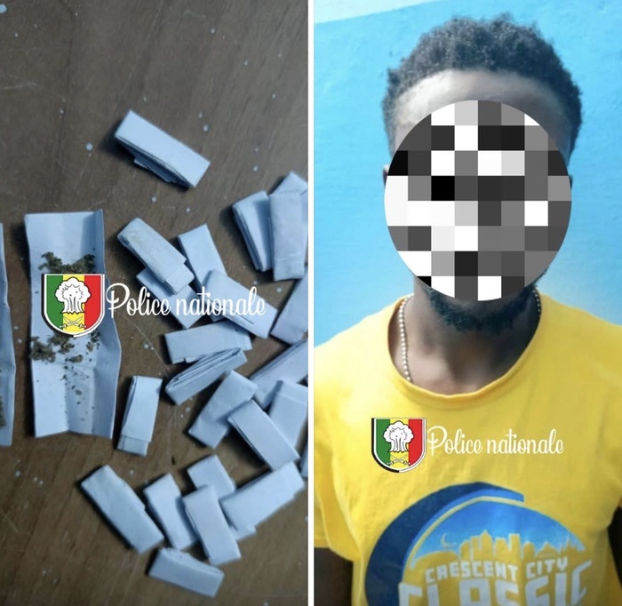 Ziguinchor:  Un individu interpellé avec 28 doses de Kush à Boudody Ziguinchor:  Un individu interpellé avec 28 doses de Kush à Boudody