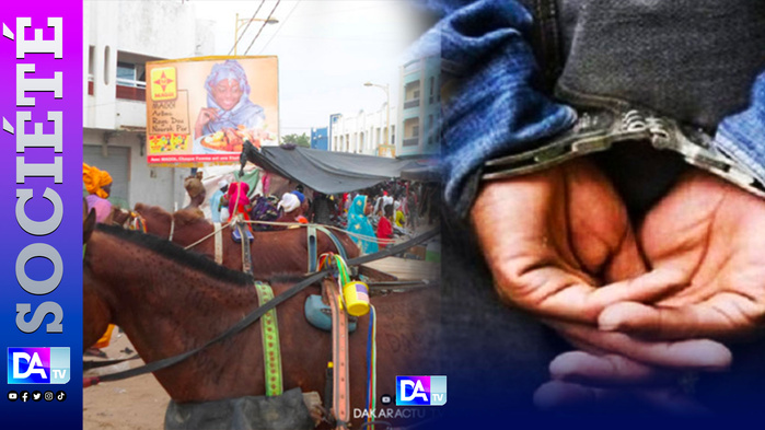 Terreur à Keur Mbaye Fall : le charretier Cheikh Faye poignarde un vigile en pleine rue Terreur à Keur Mbaye Fall : le charretier Cheikh Faye poignarde un vigile en pleine rue