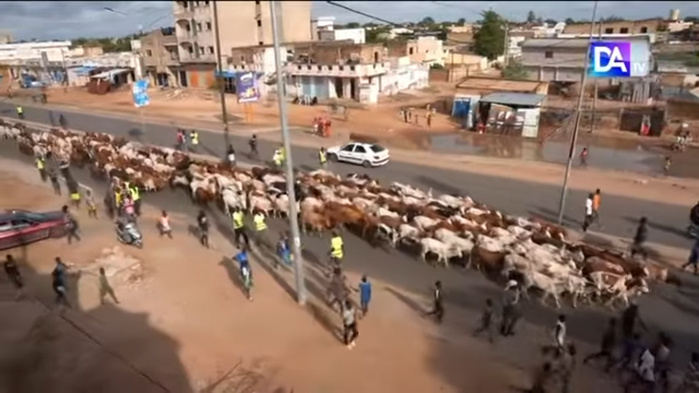 Magal 2025/Dianatou - " Dakou Nãk": Serigne Saliou Thione et les Thiantacoune mobilisent Magal 2025/Dianatou - " Dakou Nãk": Serigne Saliou Thione et les Thiantacoune mobilisent