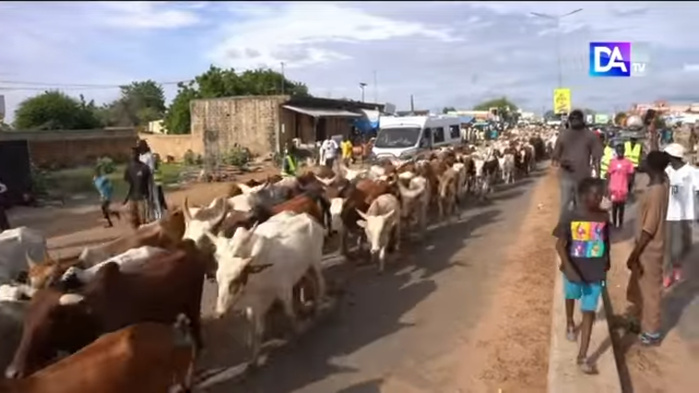 Magal 2025/Dianatou - " Dakou Nãk": Serigne Saliou Thione et les Thiantacoune mobilisent Magal 2025/Dianatou - " Dakou Nãk": Serigne Saliou Thione et les Thiantacoune mobilisent