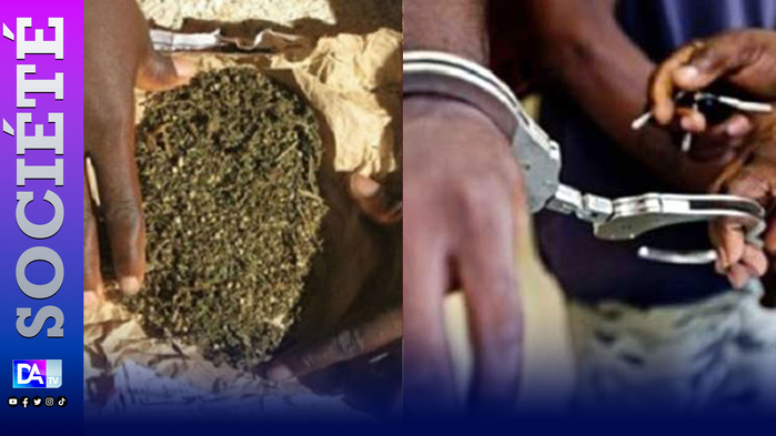 Kaolack/Ndorong : Deux individus arrêtés pour trafic de drogue à Boustane Kaolack/Ndorong : Deux individus arrêtés pour trafic de drogue à Boustane