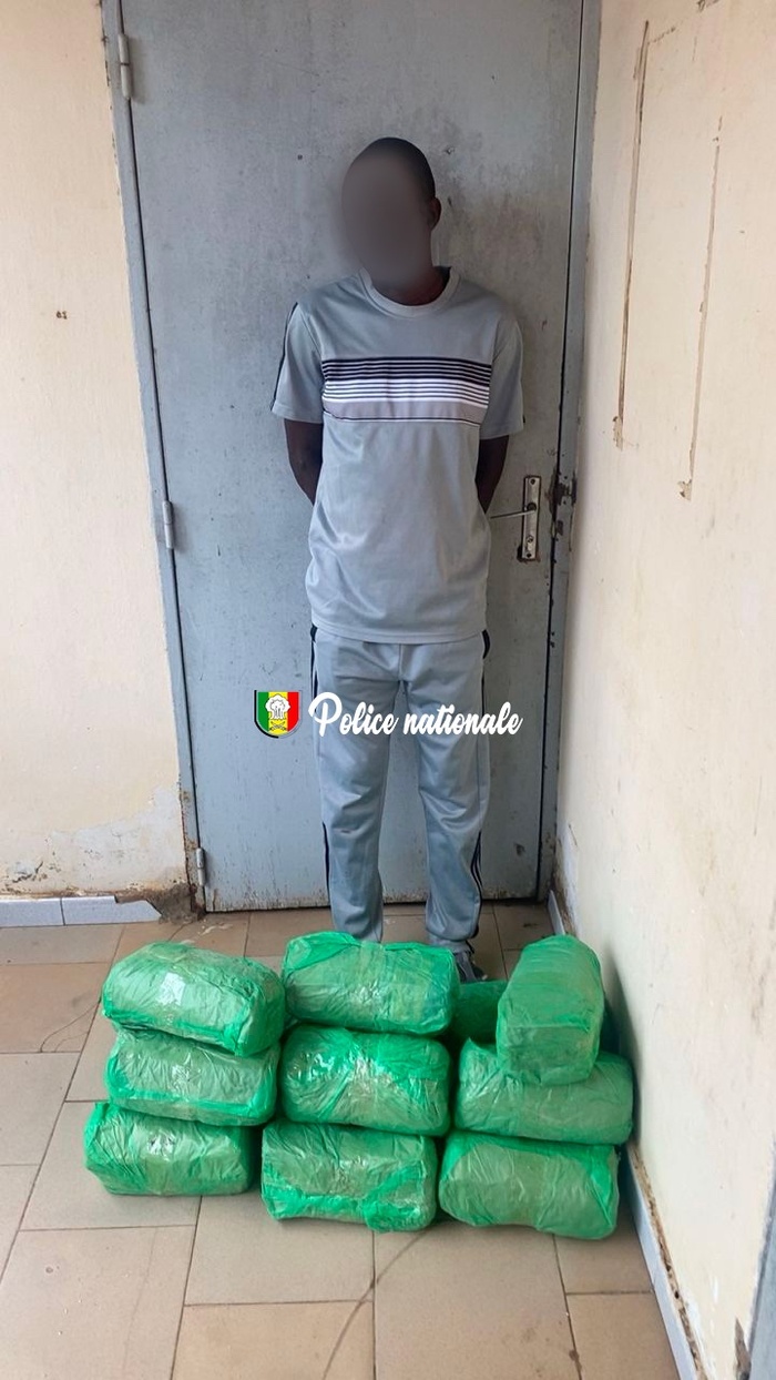 Fatick : 18 kg de chanvre indien saisis par l’OCRTIS, dissimulés dans des sacs de maïs Fatick : 18 kg de chanvre indien saisis par l’OCRTIS, dissimulés dans des sacs de maïs