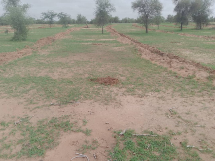 Caravane écologique à Labgar : le ministre Daouda Ngom annonce la création d’une réserve naturelle communautaire