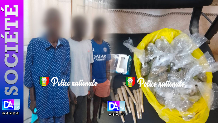 Fatick : trois trafiquants arrêtés, 25 sachets de chanvre indien saisis