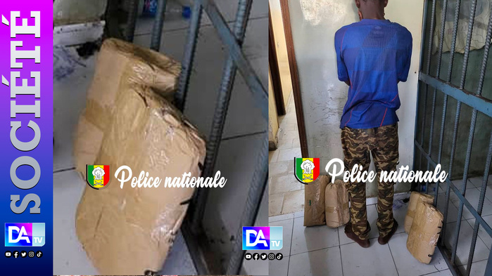 Rufisque : arrestation pour trafic de 4 kg de chanvre indien