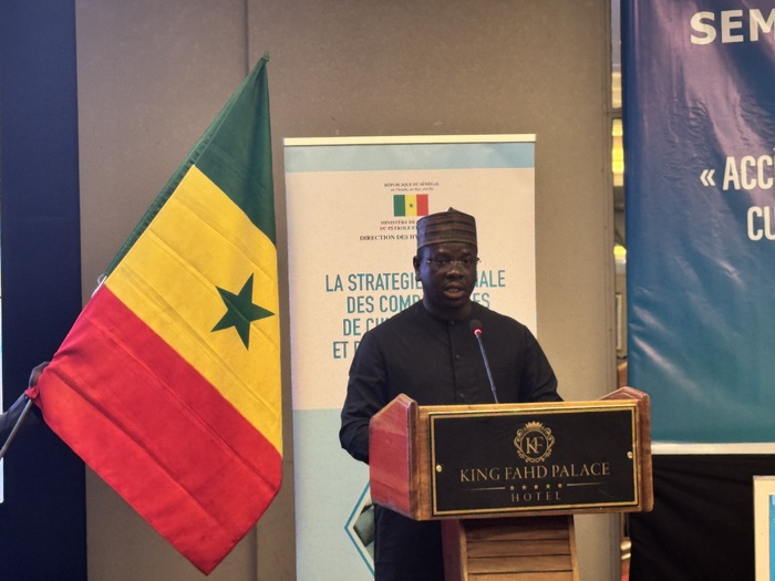 Conséquences des combustibles de cuisson : « Au Sénégal, il nous faut des filières locales de production et de distribution de combustibles alternatifs » ( Birame S. Diop)