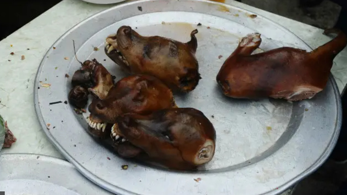 Guinée : Un homme surpris en train de vendre de la soupe à la viande de chien