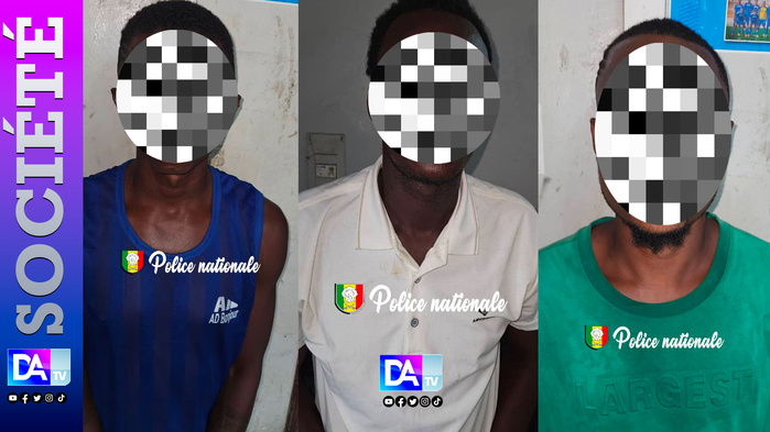 Ancienne Piste et Mamelles : trois trafiquants de kush tombent dans les filets de l’OCRTIS