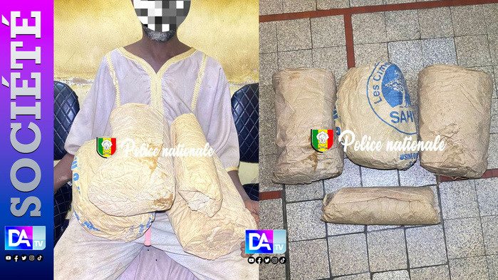 Forêt de Thioyene Hamady Mala : l’OCRTIS de Kaolack met la main sur 3,6 kg de chanvre indien Forêt de Thioyene Hamady Mala : l’OCRTIS de Kaolack met la main sur 3,6 kg de chanvre indien