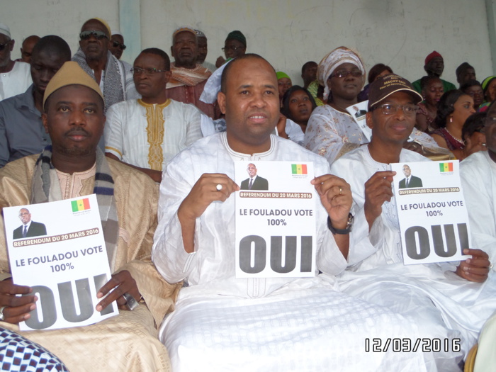 Référendum du 20 Mars 2016 : Kolda dit OUI au OUI Référendum du 20 Mars 2016 : Kolda dit OUI au OUI