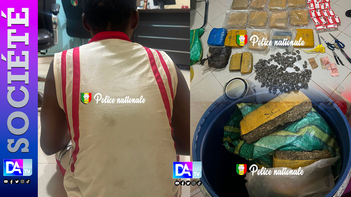 Kédougou : un trafiquant arrêté avec 15 kg de chanvre indien et 1 800 comprimés de tramadol
