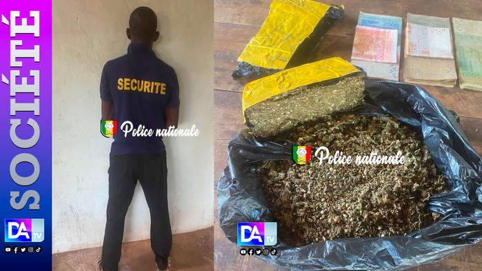 Kédougou – Gada Dinguessou : un trafiquant de chanvre indien arrêté à l’aube