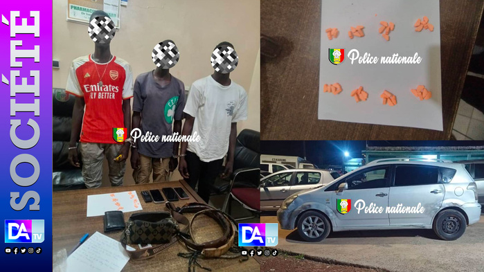 Fatick : Trois individus arrêtés avec 40 comprimés d’ecstasy