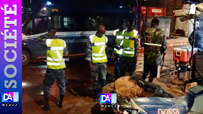 Dakar sous haute surveillance : 84 interpellations lors d’une opération spectaculaire de la gendarmerie