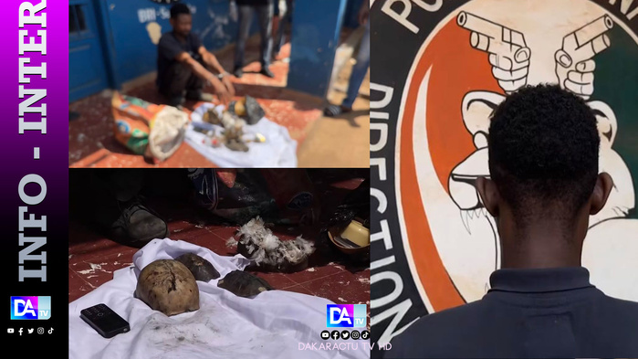 Côte d’Ivoire : Un présumé cannibale arrêté à San Pedro en possession de crânes humains Côte d’Ivoire : Un présumé cannibale arrêté à San Pedro en possession de crânes humains