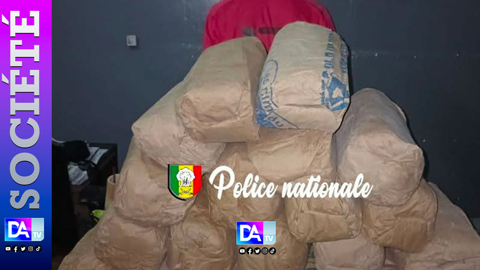 Sédhiou : interpellation d’un individu transportant 20 kg de chanvre indien vers la Gambie Sédhiou : interpellation d’un individu transportant 20 kg de chanvre indien vers la Gambie