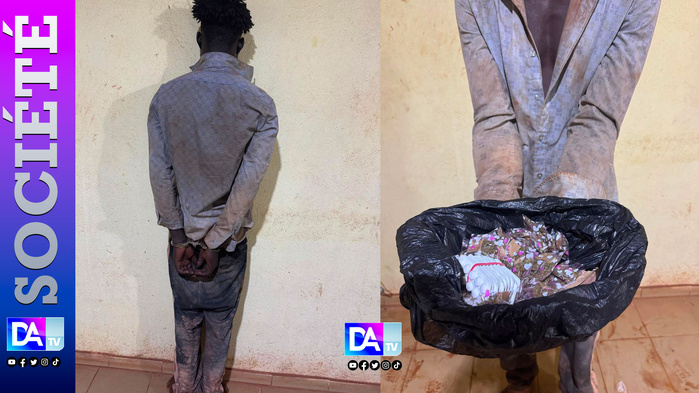 Moussala : un trafiquant de drogue arrêté avec du chanvre indien et du Tramadol destiné aux sites d’orpaillage