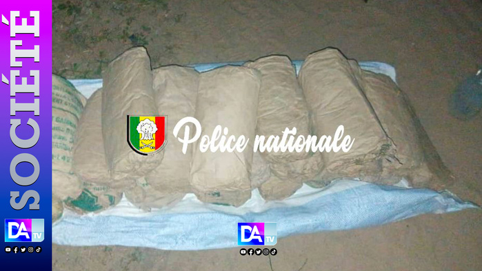 Saisie de 20 blocs de chanvre indien à Nguekhokh : opération conjointe des BRS de Thiès et de Kaolack Saisie de 20 blocs de chanvre indien à Nguekhokh : opération conjointe des BRS de Thiès et de Kaolack
