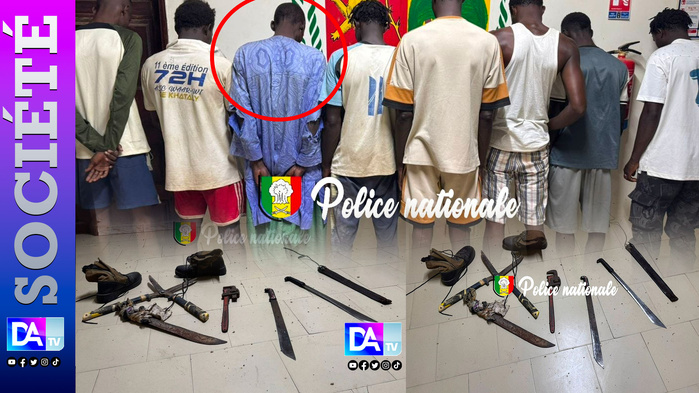 Braquages en série à linguère et thiès : la police démantèle une bande dirigée par le tiktokeur Samba ka Braquages en série à linguère et thiès : la police démantèle une bande dirigée par le tiktokeur Samba ka