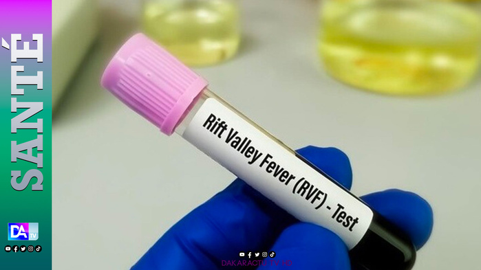 Fièvre de la vallée du rift: un 22e décès enregistré… Fièvre de la vallée du rift: un 22e décès enregistré…