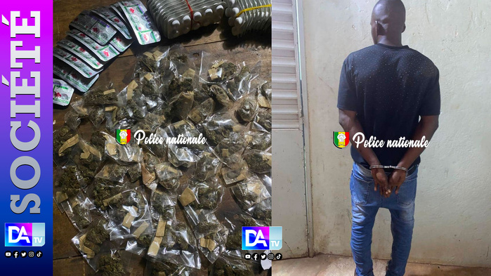 Kédougou : un trafiquant arrêté avec du Kush et près de 500 comprimés de Tramadol à Kharakhena Kédougou : un trafiquant arrêté avec du Kush et près de 500 comprimés de Tramadol à Kharakhena