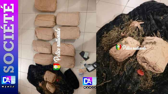 Dakar : un trafiquant interpellé avec 10 kg de chanvre indien soigneusement dissimulés dans une armoire Dakar : un trafiquant interpellé avec 10 kg de chanvre indien soigneusement dissimulés dans une armoire