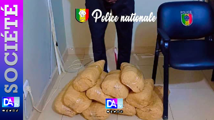 Rufisque : Saisie de 10 kg de chanvre indien et arrestation d’un trafiquant présumé Rufisque : Saisie de 10 kg de chanvre indien et arrestation d’un trafiquant présumé