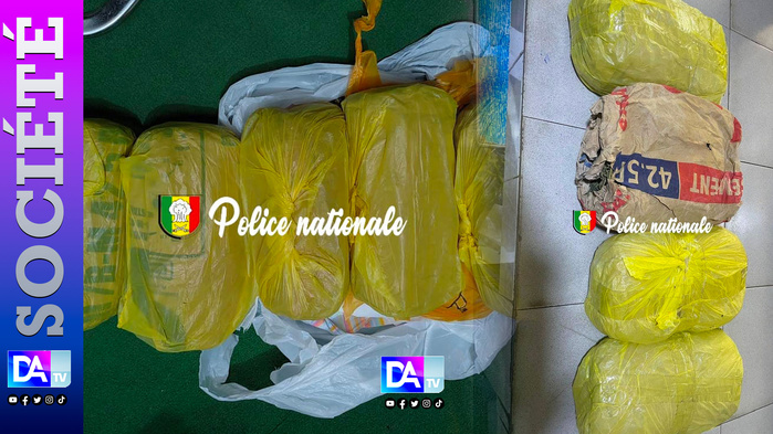 GRAND DAKAR – Un contrôle inopiné fait tomber deux présumés trafiquants de chanvre indien GRAND DAKAR – Un contrôle inopiné fait tomber deux présumés trafiquants de chanvre indien