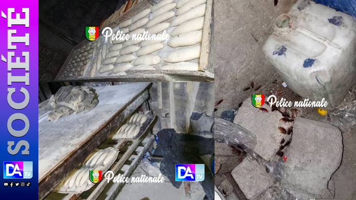 GRAND-YOFF – Une boulangerie clandestine démantelée : pain aux vers, cafards et insalubrité extrême au garage Bignona GRAND-YOFF – Une boulangerie clandestine démantelée : pain aux vers, cafards et insalubrité extrême au garage Bignona