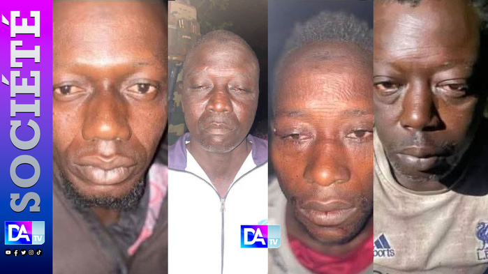 L’arrestation de Sanna Manjang, Ex-Officier des « Junglers », serait Liée à un vaste réseau de trafic de bois et de charbon en Casamance L’arrestation de Sanna Manjang, Ex-Officier des « Junglers », serait Liée à un vaste réseau de trafic de bois et de charbon en Casamance