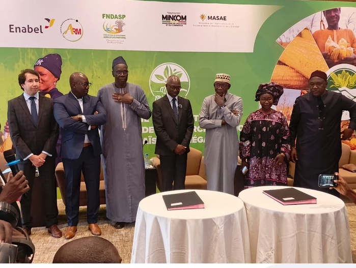 Commercialisation du maïs au Sénégal : Les producteurs, industriels et Enabel paraphent un protocole d’accord