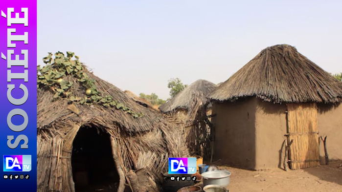 Grenier en cendres à Keur Ngatane : le voisin fugitif et l’incendie qui affame un village Grenier en cendres à Keur Ngatane : le voisin fugitif et l’incendie qui affame un village