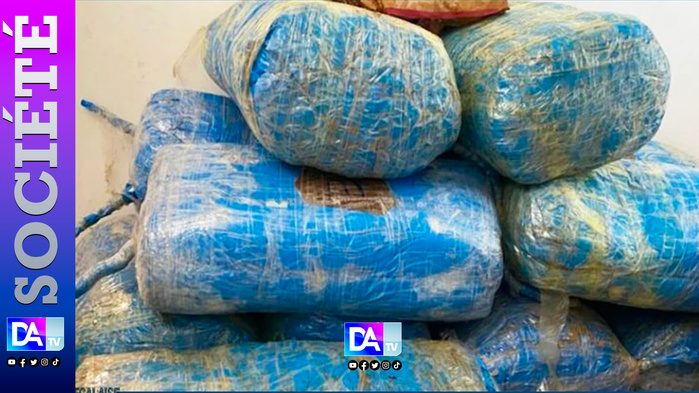 Fimela – 217 kg de chanvre indien saisis : une pirogue piégée dans les bolongs après une course nocturne Fimela – 217 kg de chanvre indien saisis : une pirogue piégée dans les bolongs après une course nocturne