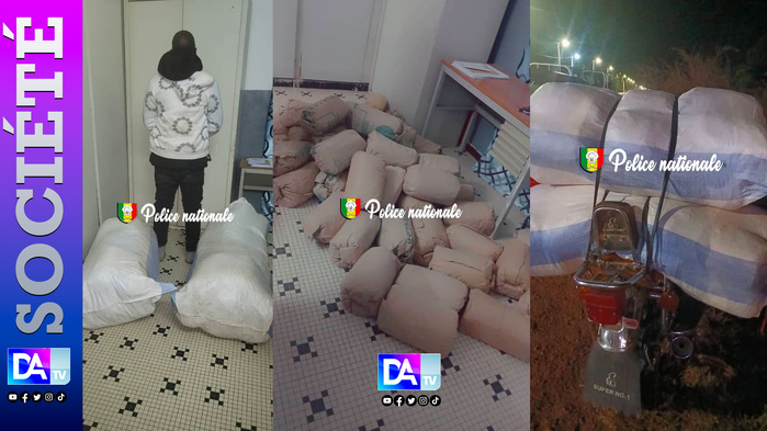 Trafic de drogue à Ziguinchor : l’OCRTIS met la main sur 50 kg de chanvre indien Trafic de drogue à Ziguinchor : l’OCRTIS met la main sur 50 kg de chanvre indien