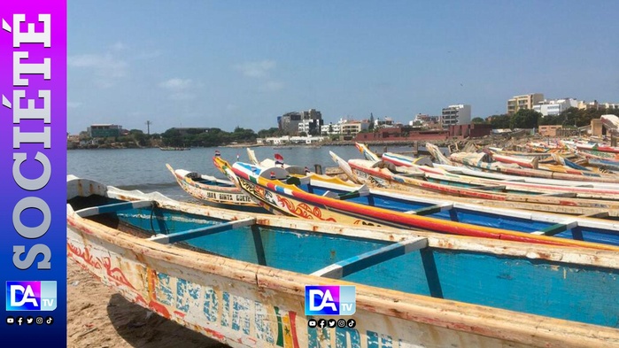 Malicounda, la route de l’exil brisée : quand le rêve espagnol vire au piège judiciaire