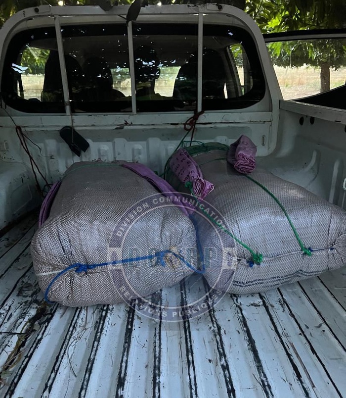 Lutte contre le trafic de drogue : trois individus arrêtés à Kaolack avec 53 kg de chanvre indien Lutte contre le trafic de drogue : trois individus arrêtés à Kaolack avec 53 kg de chanvre indien