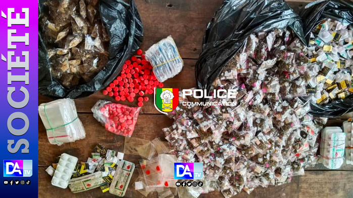 Kédougou : un réseau de trafic de kush et de Tramadol démantelé aux portes du Mali Kédougou : un réseau de trafic de kush et de Tramadol démantelé aux portes du Mali